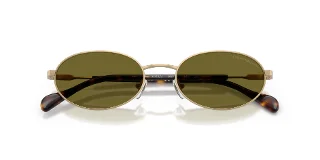 Emporio Armani Sunglasses EA2175