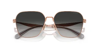 Coach Sunglasses HC7168