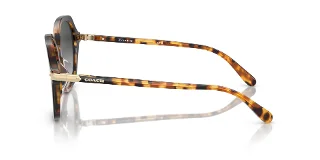 Coach Sunglasses HC8377U