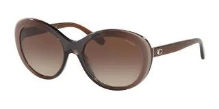 Coach Sunglasses HC8259