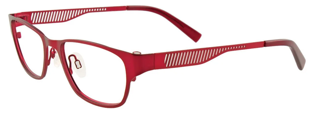 Easyclip Eyeglasses EC310