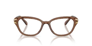 Swarovski Eyeglasses SK2032