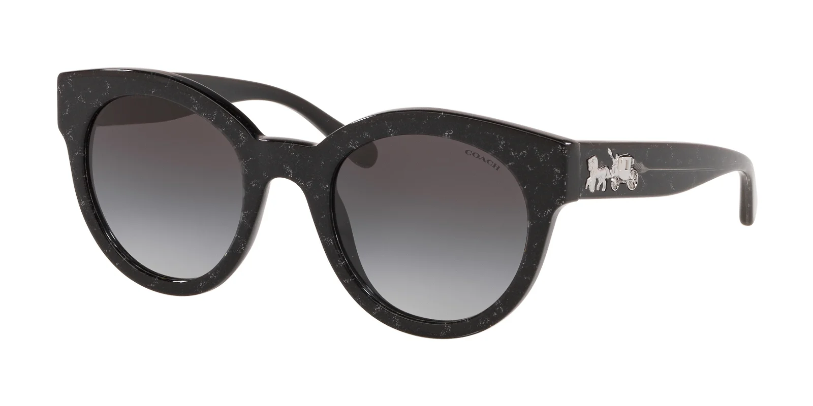 Coach Sunglasses HC8265