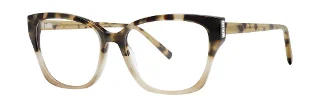Satin Tortoise