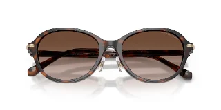 Michael Kors Sunglasses MK2289D
