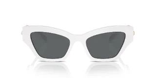 Swarovski Sunglasses SK6021F