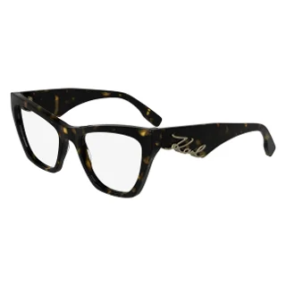 Karl Lagerfeld Eyeglasses KL6171