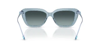 Swarovski Sunglasses SK6065U