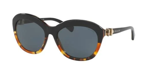 Coach Sunglasses HC8184 L1600