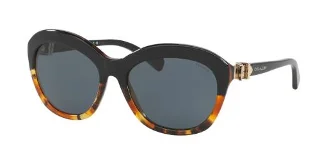 Coach Sunglasses HC8184 L1600