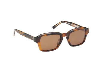 Abercrombie & Fitch Sunglasses AF00036