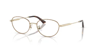 3019 Pale Gold/Bisquit