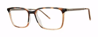 tortoise/brown/gunmetal
