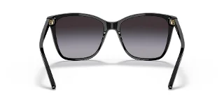 Ralph Lauren Sunglasses RL8201