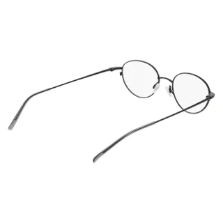 Flexon Eyeglasses FLX811PMAG-SET