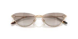 Ralph Lauren Sunglasses RL7095