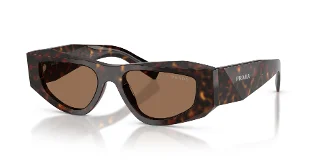 17N06B Root Tortoise