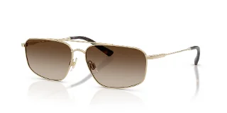 939313 Shiny Pale Gold