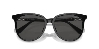 Swarovski Sunglasses SK6023D