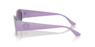 Versace Sunglasses VE2263
