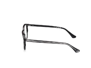 Web Eyeglasses WE5454