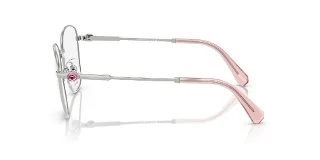 Swarovski Eyeglasses SK1019