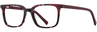 C03 Cherry Tortoise