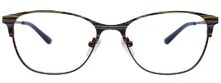 Easyclip Eyeglasses EC710