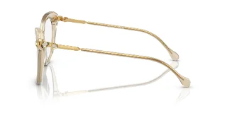 Swarovski Eyeglasses SK2012