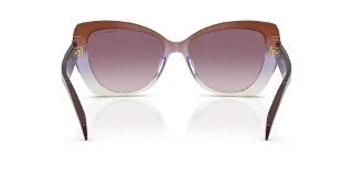 Michael Kors Sunglasses MK2258U
