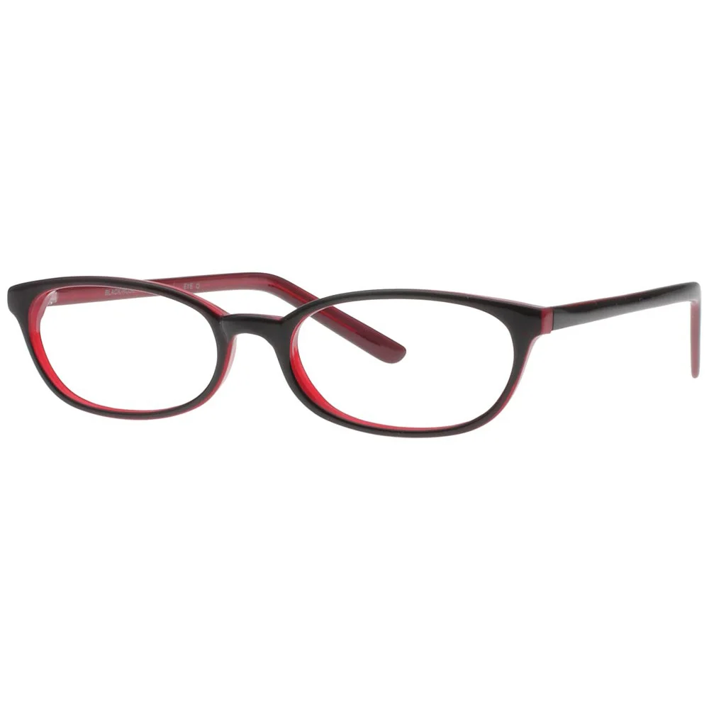 Stylewise Eyeglasses SW439