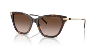 502613 Shiny Havana