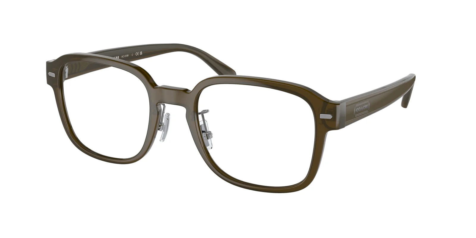 Coach Eyeglasses HC6199
