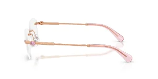Swarovski Eyeglasses SK1035D
