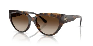 300613 Dark Tortoise