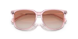 Swarovski Sunglasses SK6015D