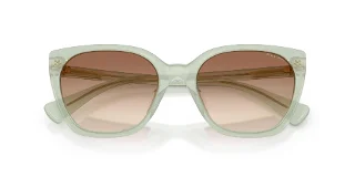 Ralph Sunglasses RA5330U