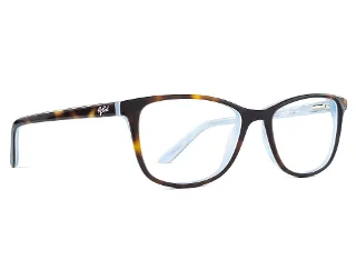 C2 Tortoise/Blue Mist
