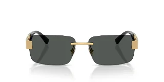 Versace Sunglasses VE2298