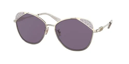 Coach Sunglasses HC7119