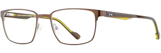 C03 Chocolate/Yellow