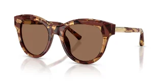 346273 Havana Pearl Brown