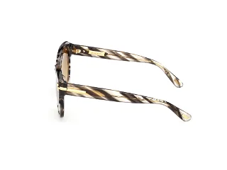 Tom Ford Icon Sunglasses FT1251