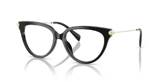 3005 Black