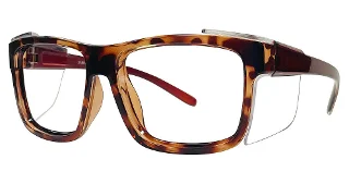 024 Tortoise