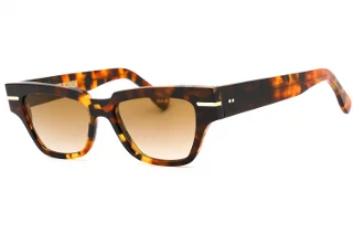 002 Light Dark Turtle / Brown Gradient