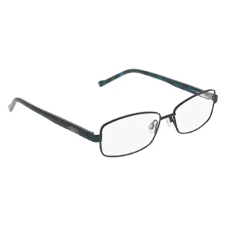Dkny Eyeglasses DK3009