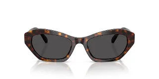 Swarovski Sunglasses SK6048