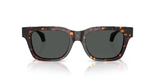 Versace Sunglasses VE4486