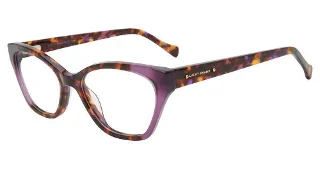 Purple Havana
